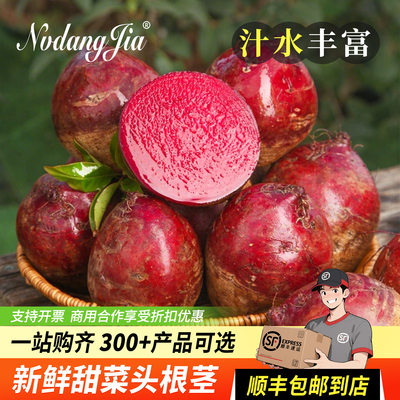 新鲜甜菜头甜菜根紫菜头红菜头