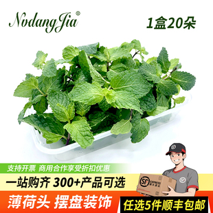 新鲜薄荷叶食用调酒饮品烘焙蛋糕装饰西餐日料摆盘薄荷叶头叶尖