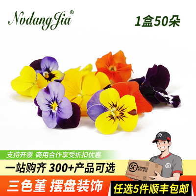新鲜三色堇50朵食用花摆盘装饰花