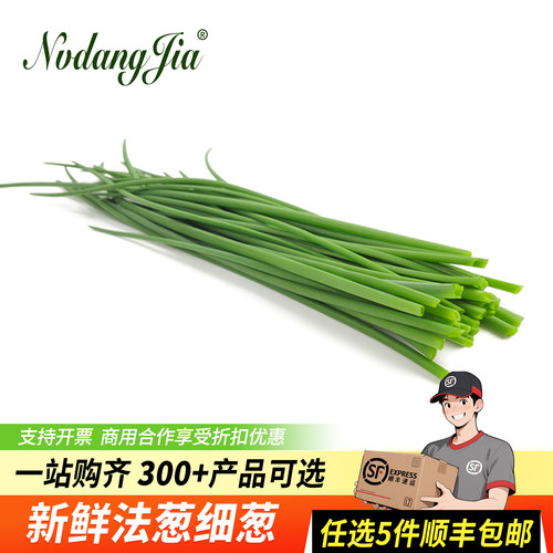 新鲜细小法葱西餐香料调味食材