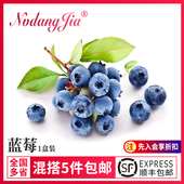 蓝莓鲜果新鲜125g一盒装 当季 水果新鲜云南蓝莓沙拉烘焙新鲜水果