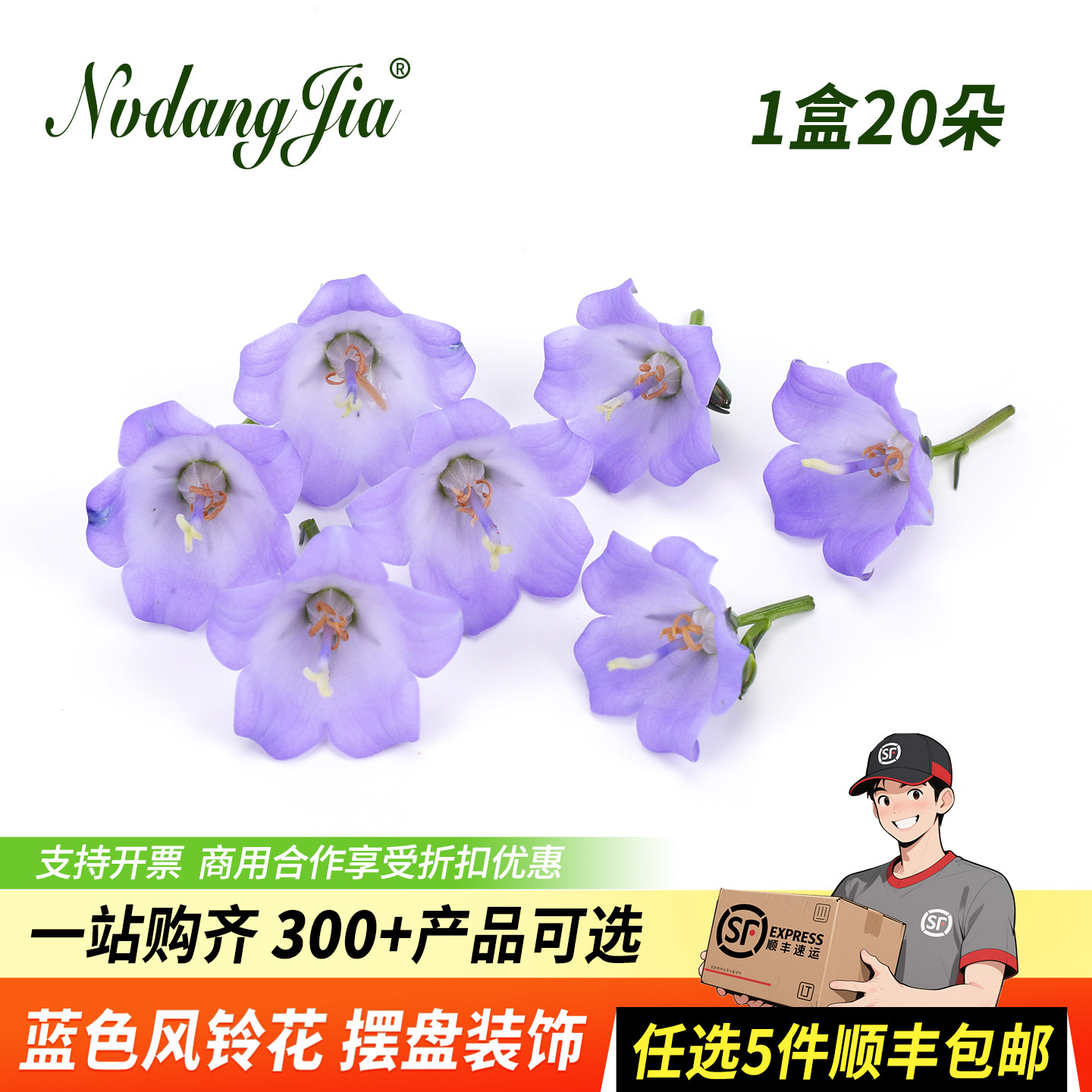 新鲜蓝色风铃花梦幻风铃花20朵日料酒店西餐摆盘装饰蛋糕饮品鲜花
