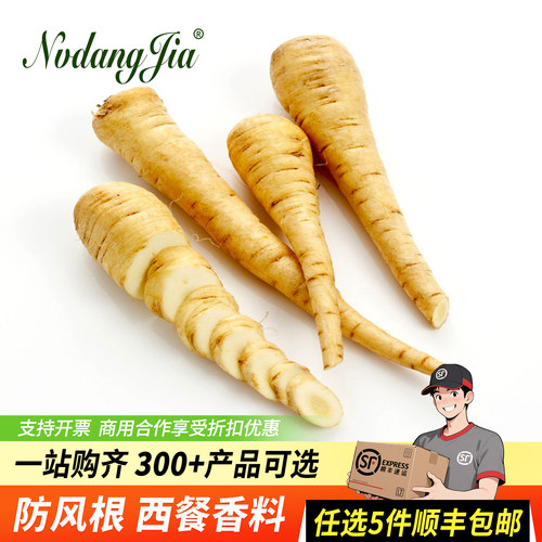 新鲜防风根欧洲萝卜蒲芹菜香料