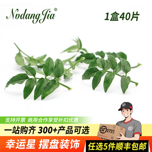 新鲜幸运星草阔叶舞竹40片幸运草腾树苗酒店餐厅冷艺摆盘装饰花草