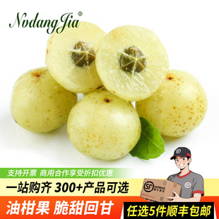 潮汕普宁崩坎甜油甘新鲜油甘果牛甘果余甘果甜种 柿饼甜油柑500克
