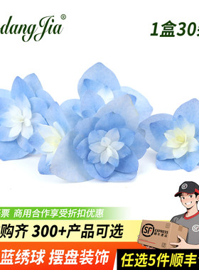 重瓣蓝色绣球花渐变色绣球花西餐日料摆盘蛋糕装饰鲜花草新鲜鲜花