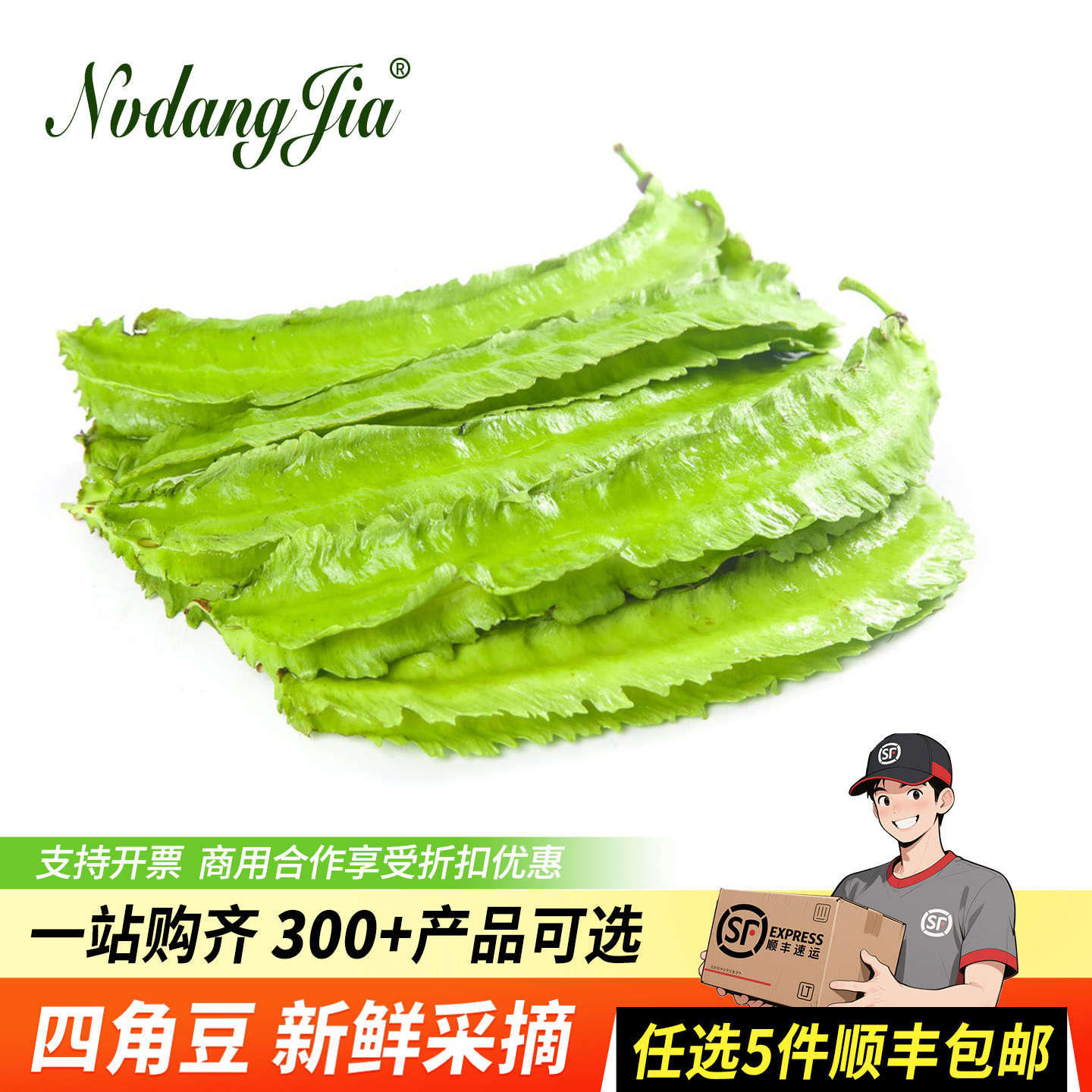 新鲜海南四角豆100g新鲜蔬菜海南特产四棱豆四棱豆绿色龙豆当季农