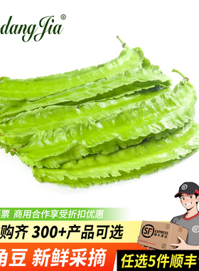 新鲜海南四角豆100g新鲜蔬菜海南特产四棱豆四棱豆绿色龙豆当季农