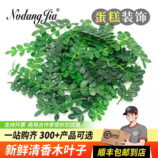 包邮 新鲜清香木叶子蛋糕烘焙装 饰西餐日料摆盘花草青香木胡椒木