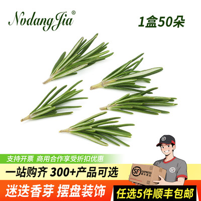 新鲜迷迭香芽可食用摆盘装饰花草