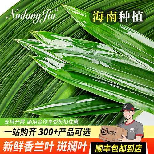 海南斑斓叶新鲜食用香兰叶斑兰叶