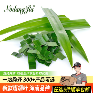 斑斓叶新鲜食用千层蛋糕原料摆盘装饰烘焙奶茶商用班兰叶子香兰叶