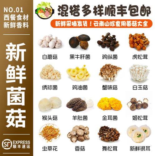 云南新鲜菌菇松茸牛肝菌口蘑香菇
