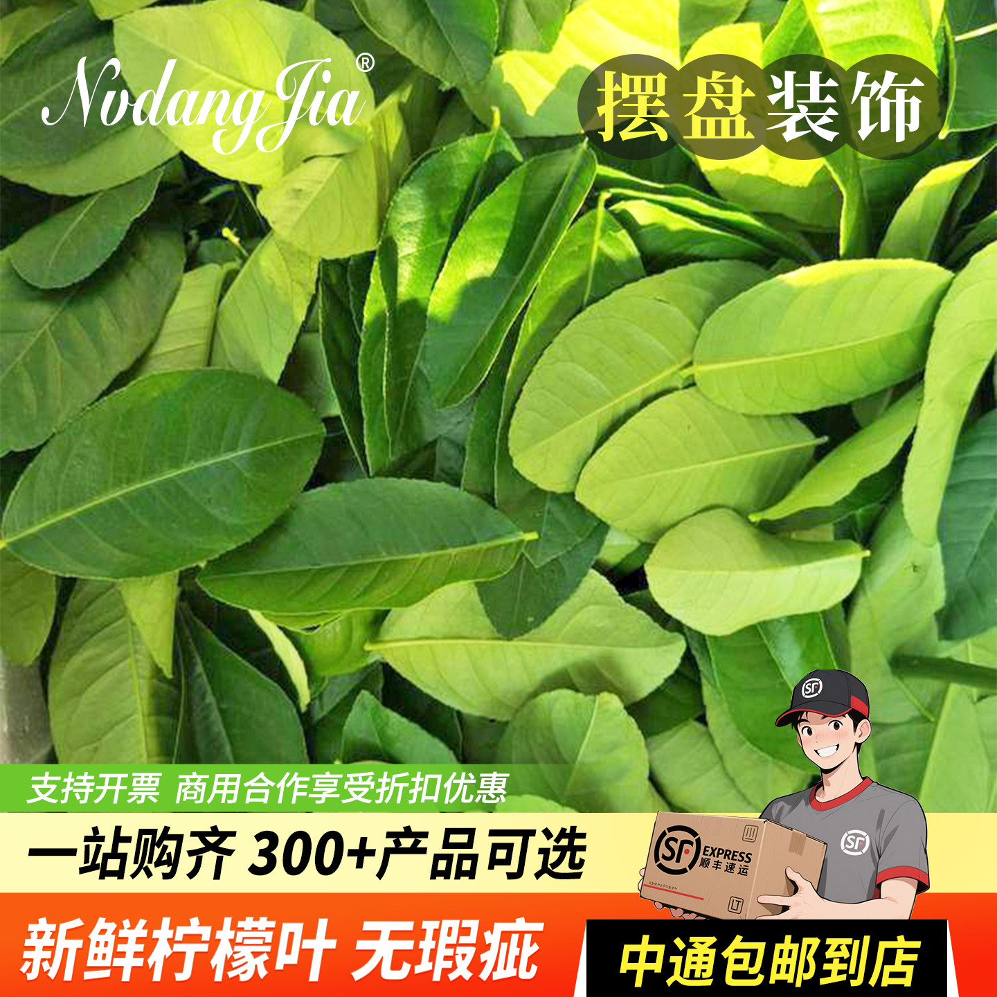 柠檬叶新鲜青柠叶泰国冬阴功汤食材香料鱼生配料香水柠檬叶子包邮