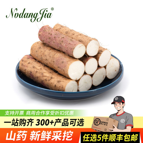 新鲜山药铁棍山药农家蔬菜