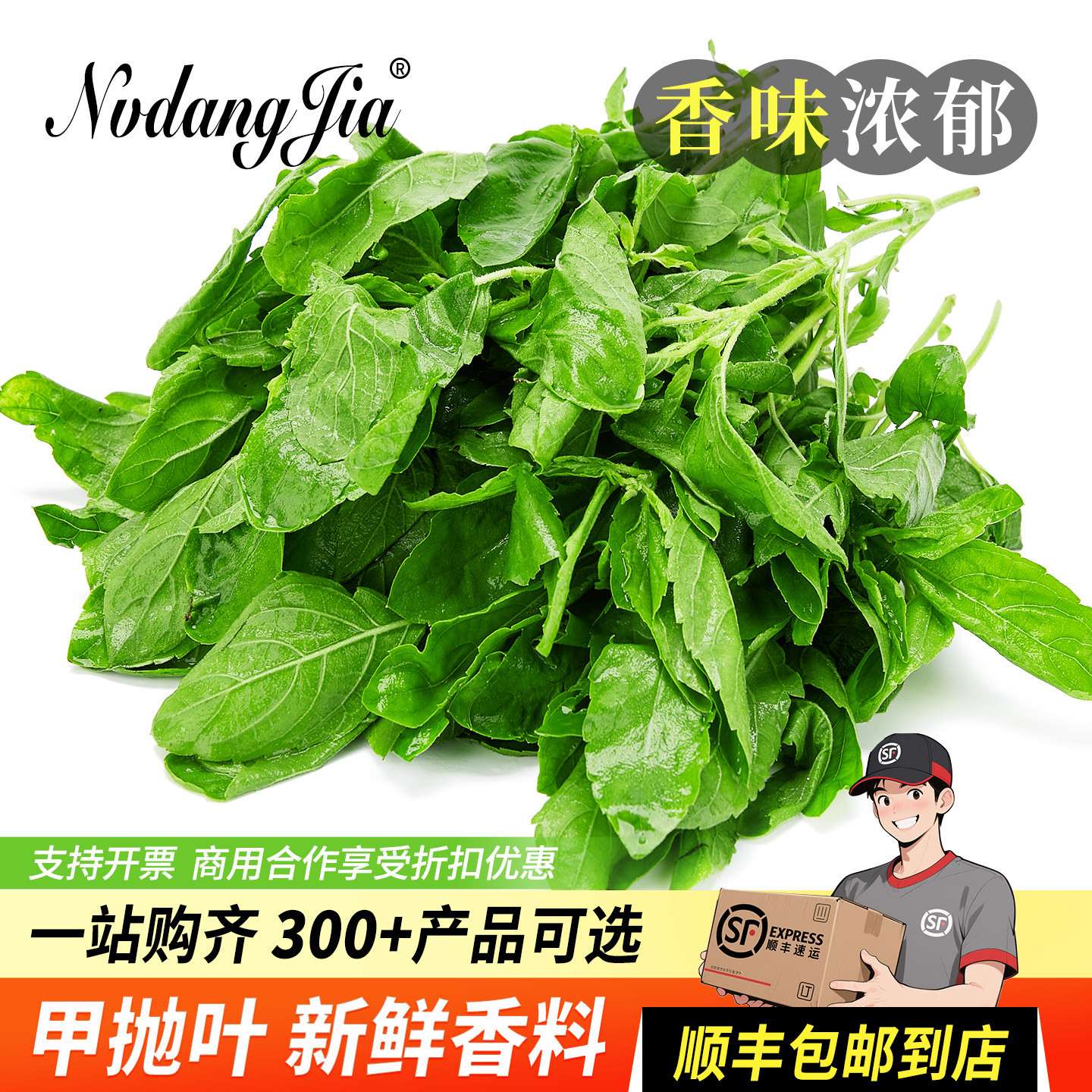新鲜打抛叶塔抛甲抛叶泰式打抛饭香料越南菜配料调料新鲜蔬菜嘎泡