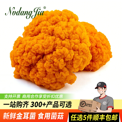 新鲜黄金耳菌食用菌菇火锅煲汤