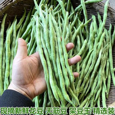 湖北农家自种新鲜龙豆无筋豆架豆王皇帝豆农家菜现摘现发菜园直发