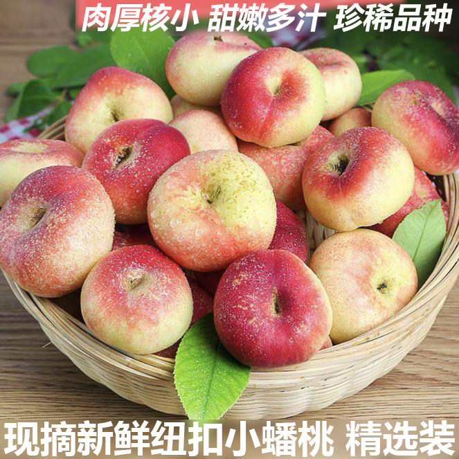 新鲜纽扣红油小蟠桃新鲜水果纽扣小油桃当季现摘扁桃脆甜软桃子