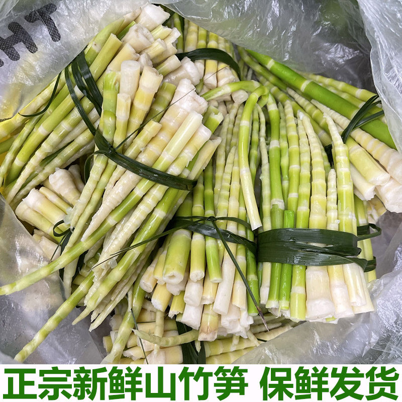 农家山竹笋新鲜现挖深山小竹笋春笋去壳细笋水竹笋小春笋手剥笋