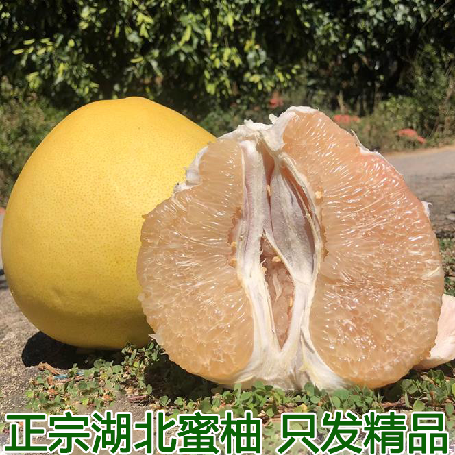 湖北蜜柚子精选大果新鲜当季白肉蜜柚青皮柚孕妇水果纯甜整箱包邮