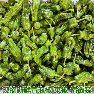现摘新鲜青辣椒5斤装农家自种青椒炒菜椒虎皮青椒螺丝椒新鲜辣椒