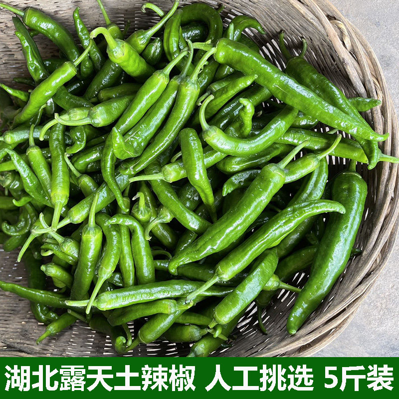 湖北宜昌农家自种新鲜土辣椒超辣青椒本地辣椒绿辣椒薄皮辣椒包邮