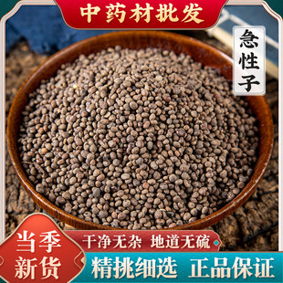 急性子中药材 正宗特级 风仙花子 急性子500g 新凤仙花子