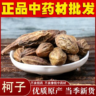 中药材  诃子 柯子 柯子肉 金柯子 大金果 随风子 500g