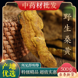 桑黄西藏中药材茶乾货小努桑树桑黄孔正宗灵芝泡水500克中药材