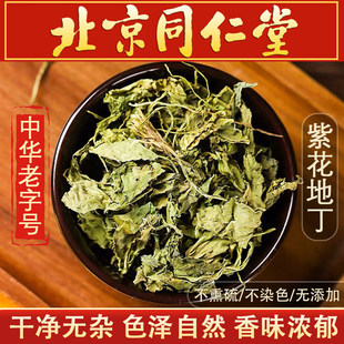 紫花地丁中药材500g克新货野生地丁草草地丁地丁草苦地丁茶