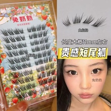 许妍同款贵感短尾狐假睫毛自然斜飞分段式上镜睫毛兔奶奶T39