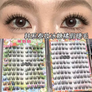 韩系氛围感精髓！藤姐同款T29涂胶款+M29免胶款清透上镜睫毛