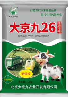 青储玉米种籽高产青贮玉米种子大京九26草籽青储种籽苞米饲草饲料