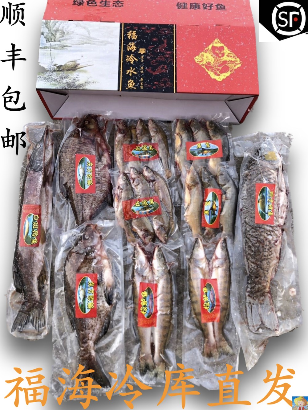 狗鱼乔尔泰淡水鱼冷水鱼鱼风干鱼熏鱼冻鲜新疆阿勒泰乌伦古湖福海