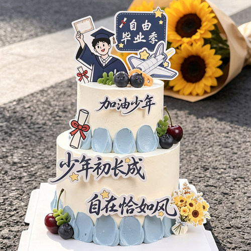 毕业季蛋糕装饰少年初长成自在恰如风加油少年毕业派对甜品插件