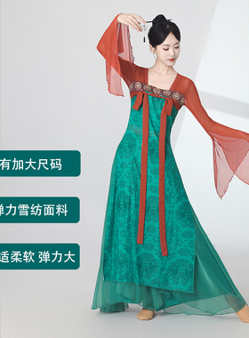 古典舞蹈服飘逸女齐胸裙表演练功服身韵长款纱衣中国民族风演出服