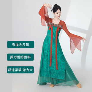 古典舞蹈服飘逸女齐胸裙表演练功服身韵长款 纱衣中国民族风演出服