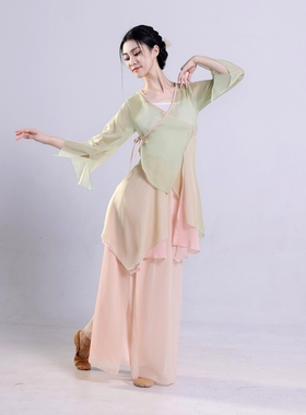 古典舞蹈服女飘逸仙古风中国舞练功服身韵纱衣民族舞表演出服套装
