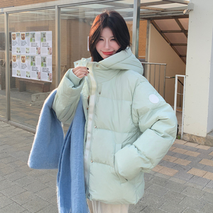 ！现货！2025新款90白鸭绒羽绒服213A-2520  P260K358图片