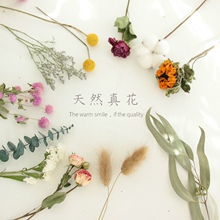 手工迷你小干花束包装天然diy散装材料包向日葵植物标本玻璃制作