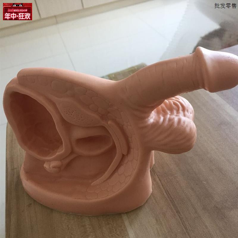 男性内外生殖器及导尿模块/G人体模型/男性导尿模型/阳具模型