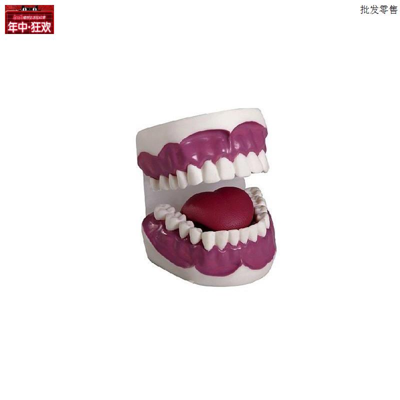 商品名称牙护理保健模型u(28颗牙)(自然大)