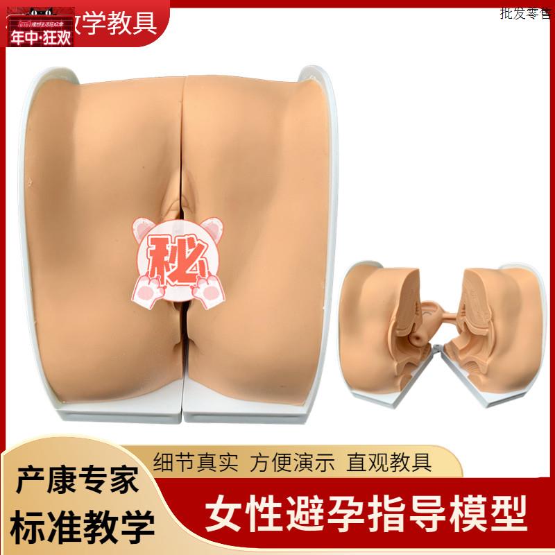 女性生殖器模型宫颈w子宫外阴道卵巢妇科检查避孕教学避孕系统模