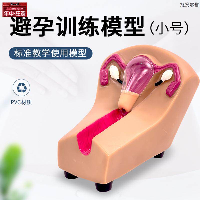 女性宫内避.孕器及训练模型子宫生殖器官教学模具上环取环练习