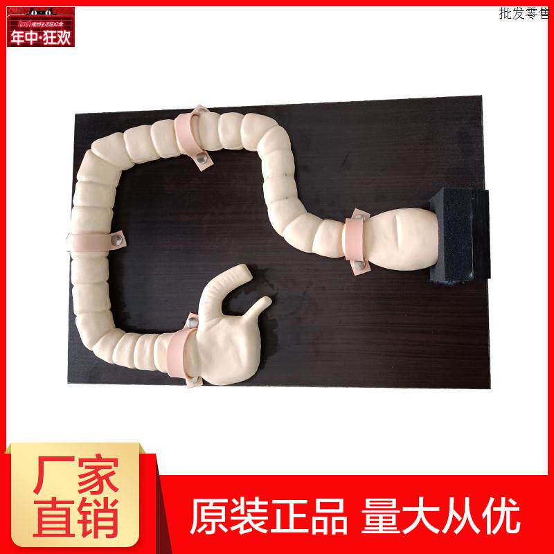 乙状结肠镜检查模型肠检查演示教学n训练模型大肠病变示教