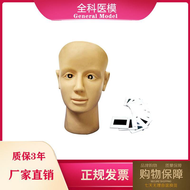 眼视网膜病变训练模型眼球检查练习养老护理高血压糖尿病人眼睛