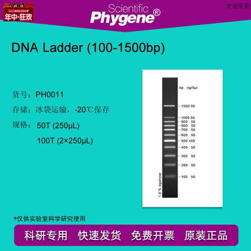 DNALaddeTr(100-1500bp)DNAMarker100TPH0011PHYGENE
