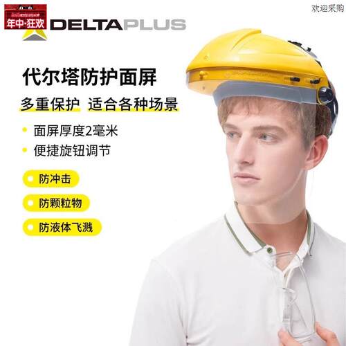 代尔塔101304防护面具面罩防n护面屏防化学飞溅防冲击面罩具