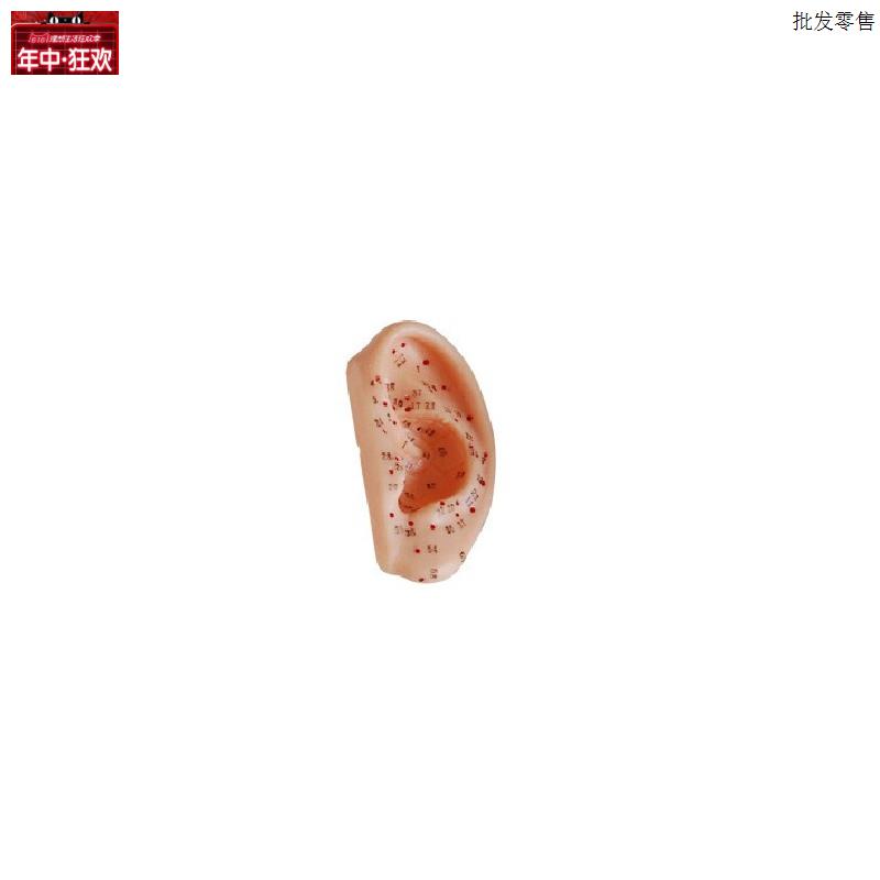 耳针灸模型1R3CM耳部穴位模型